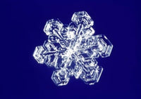 Snowflake Fine Art Print by Panoramic Images - 16x12