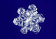 Snowflake Fine Art Print by Panoramic Images - 16x12