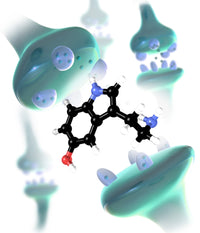 Serotonin Neurotransmitter Molecule Fine Art Print by Spencer Sutton