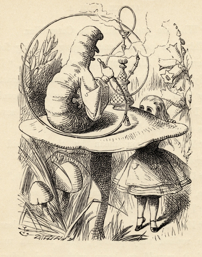 Advice From A Caterpillar Fine Art Print by John Tenniel