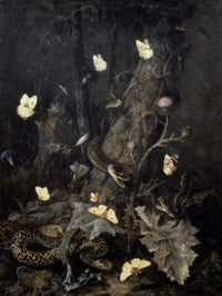 Snakes and Butterflies Fine Art Print by Otto Marseus van Schrieck