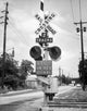 Railroad Crossing Sign at a Railroad Track Fine Art Print