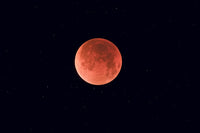 Total Lunar Eclipse Poster Print - August 28, 2007 near Calgary, Alberta