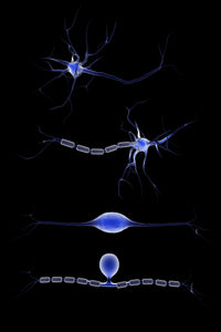 Conceptual Neuron Fine Art Print - Perfect for Home or Office