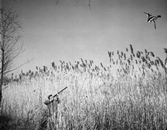 Man Hunting a Duck with a Rifle Fine Art Print