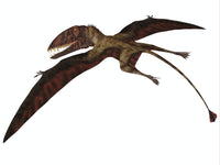 Dimorphodon Flying Pterosaur Fine Art Print - Jurassic Era