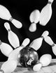 Bowling Pins in Motion Fine Art Print - Superstock