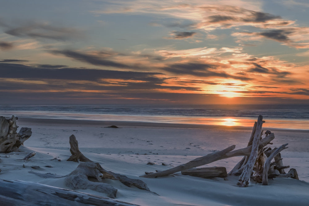 Driftwood on Heceta Beach Sunset Fine Art Print by Its About Light
