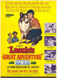 Lassie's Great Adventure Movie Poster (11x17) - Item #MOV228242