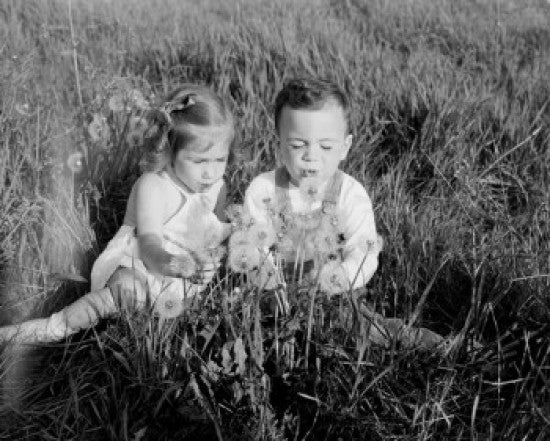 Serene Meadow Scene with Children Blowing Dandelions Poster Print