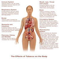 Effects of Tobacco Use Fine Art Print by Gwen Shockey
