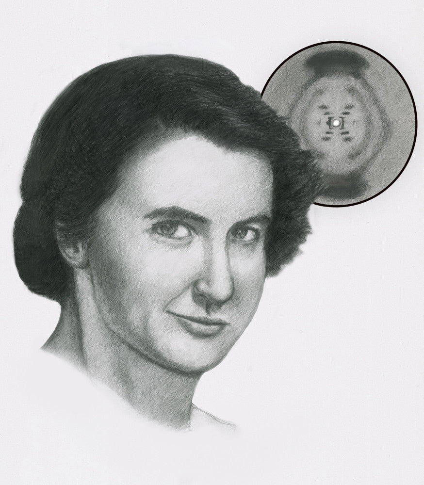 Rosalind Franklin Fine Art Print by Spencer Sutton | Science Source