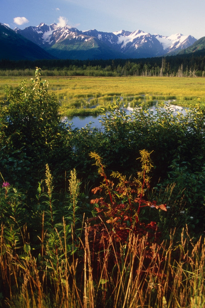 Autumn Landscape Along Turnagain Arm in Alaska Fine Art Print