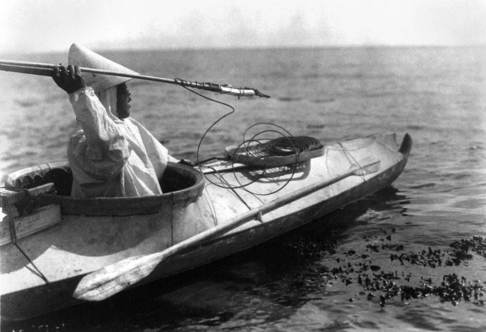 Alaska: Harpoon - Fine Art Print by Edward Curtis (1929)