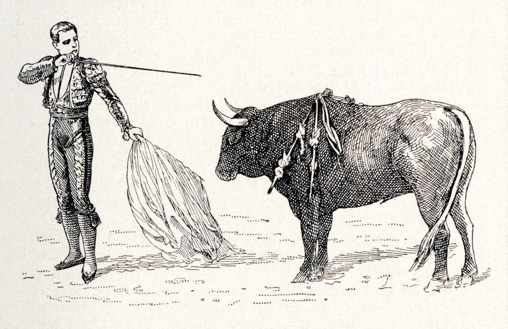 A Spanish Matador in Action - Fine Art Print by Ken Welsh