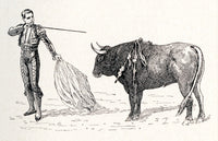 A Spanish Matador in Action - Fine Art Print by Ken Welsh