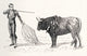 A Spanish Matador in Action - Fine Art Print by Ken Welsh