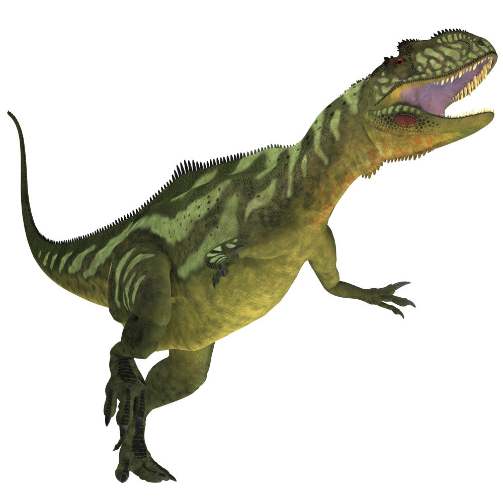 Yangchuanosaurus Theropod Dinosaur Fine Art Print - Jurassic Period