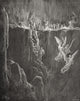 Gustave Doré's Purgatorio Illustration - Canto XXV Print