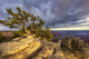 View from Bright Angel Point - Grand Canyon Poster Print by Chuck Haney