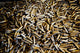 Empty 762mm Brass Casings Fine Art Print by Andrew Chittock