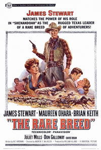 The Rare Breed Movie Poster Print (27x40) - Item # MOVCH0242
