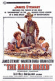 The Rare Breed Movie Poster Print (27x40) - Item # MOVCH0242