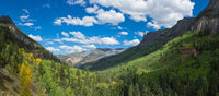 Stunning Elevated View of Trees Along Camp Bird Road Poster Print by Panoramic Images