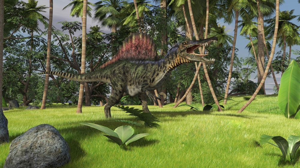 Spinosaurus Hunting in a Tropical Environment Fine Art Print