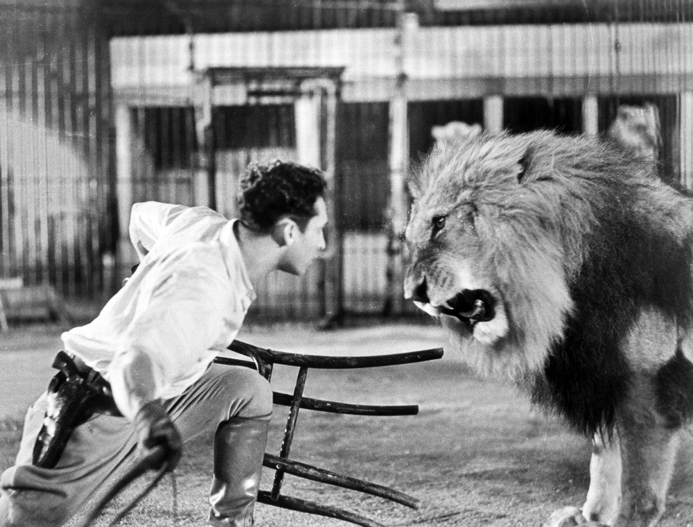 Lion Tamer Fine Art Print - Clyde Beatty Performance in the 1930s