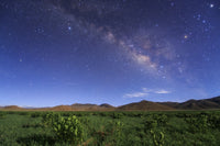 The Milky Way Fine Art Print over Hulless Barley Field by Jeff Dai