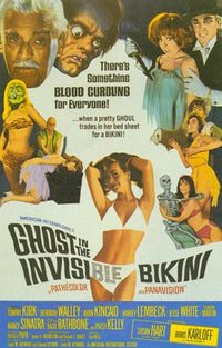Ghost In the Invisible Bikini Movie Poster (11 x 17)