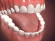 Human Mouth Anatomy Fine Art Print - Medical Illustration