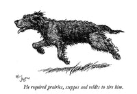 Illustration of a Black Dog Fine Art Print by Cecil Aldin