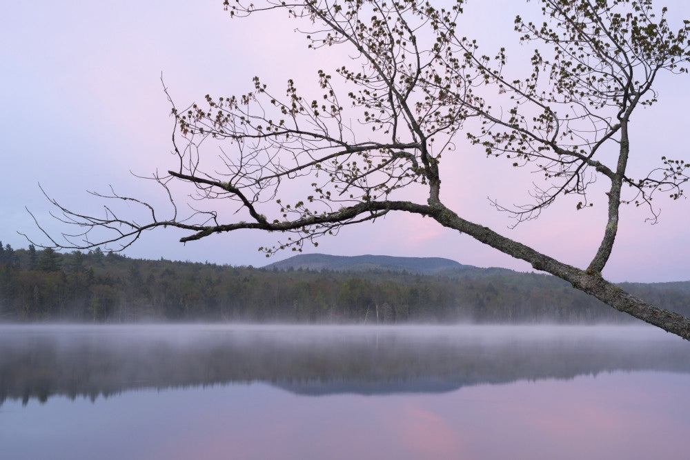 Morning Mist on Lake Durant Fine Art Print by Chris Murray