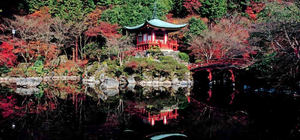 Daigo-ji Temple in Autumn Fine Art Print from Kyoto, Japan