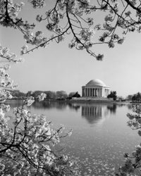 The Jefferson Memorial Framed by Cherry Blossoms Fine Art Print