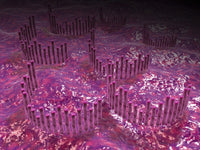 Microscopic View of Cochlea - Fine Art Print