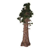 Sierra Redwood Tree Fine Art Print by Corey Ford | Stocktrek Images