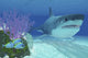 Megalodon Shark Swimming Beside Coral Reef Fine Art Print