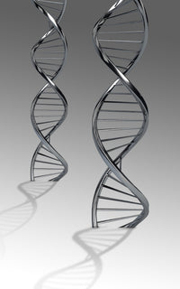 Conceptual DNA Artwork Fine Art Print - Available in Multiple Sizes