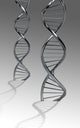Conceptual DNA Artwork Fine Art Print - Available in Multiple Sizes