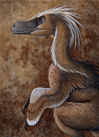 Velociraptor mongoliensis Fine Art Print - Cretaceous Dinosaur