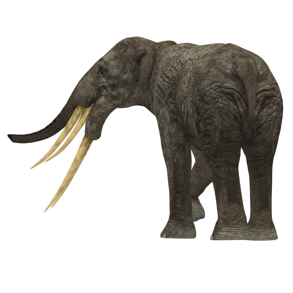Stegotetrabelodon Primitive Elephant Fine Art Print - Rear View by Corey Ford
