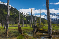 Mountain Valley Scenic Fine Art Print by Michael Jones | Posterazzi