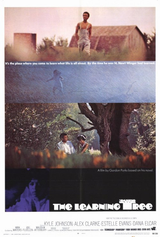 The Learning Tree Movie Poster Print - 27x40 | Posterazzi