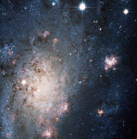A Supernova in NGC 2403 Fine Art Print by Stocktrek Images