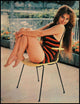 Claudia Cardinale Chair Photo Print - Available in Multiple Sizes