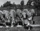 Girl Feeding Cows Fine Art Print - Available in Multiple Sizes