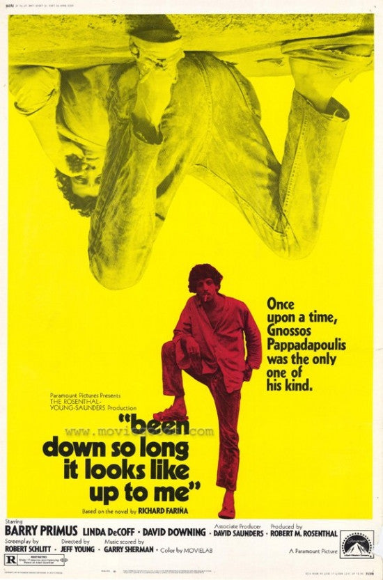 Been Down So Long It Looks Like Up To Me Movie Poster Print (27 x 40)
